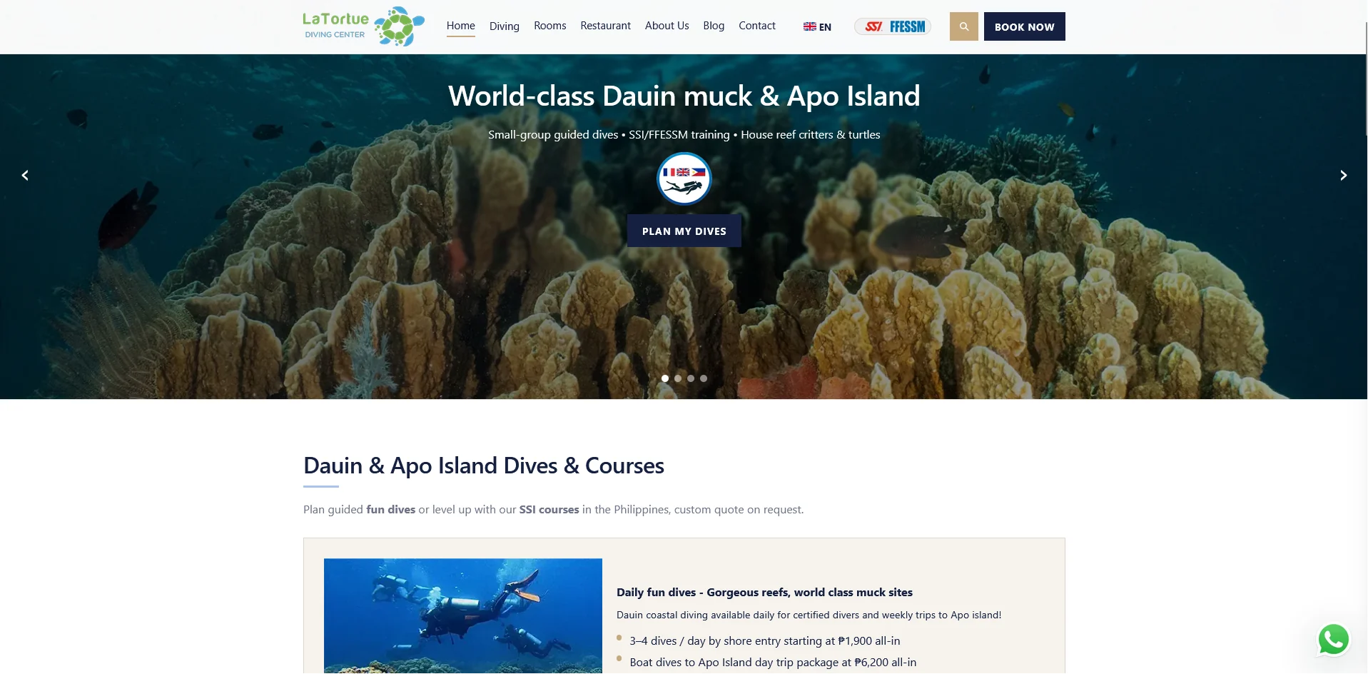 Page d'accueil desktop de La Tortue Diving Center montrant le site du resort de plongee